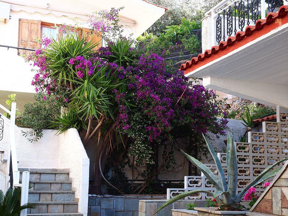 Hotel Vicky II Plomari Ngoại thất bức ảnh